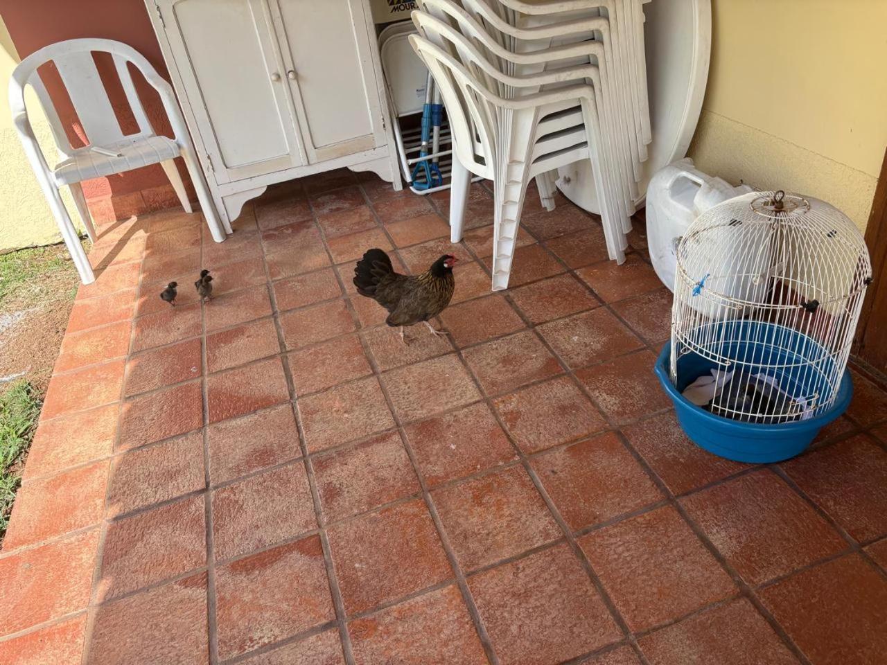 Pousada Duas Marias Lindóia Esterno foto